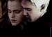 Draco-and-Hermione-dramione-7700252-591-421